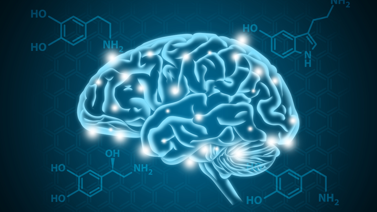 Pulsions alimentaires : quel rôle joue la dopamine ?